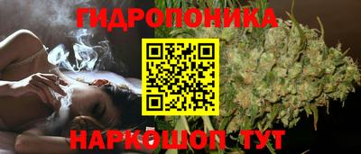 стаф Тула