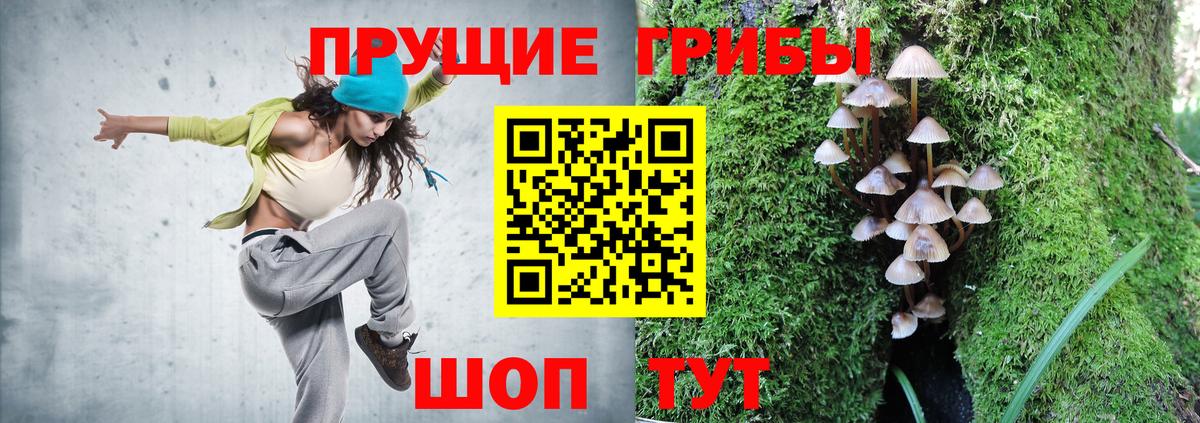 Острогожск  цены   Вход с VPN  Псилоцибиновые грибы Psilocybine cubensis  Псилоцибиновые грибы ЛСД 